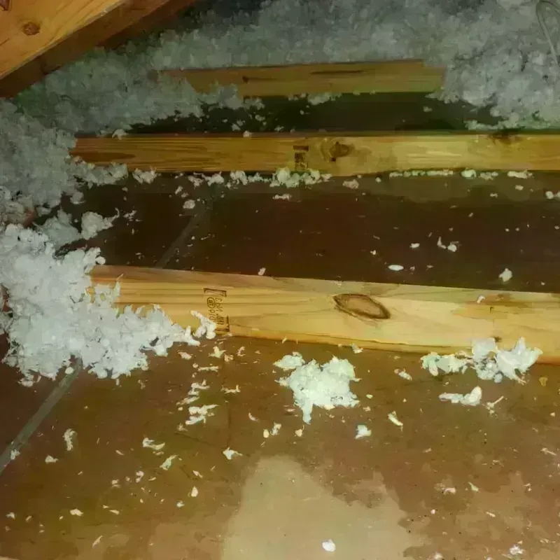 Attic Water Damage in Morehouse Parish, LA